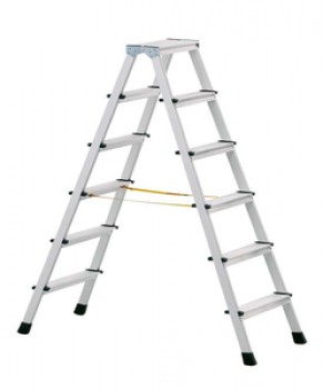 Ladder with 2 x 6 steps